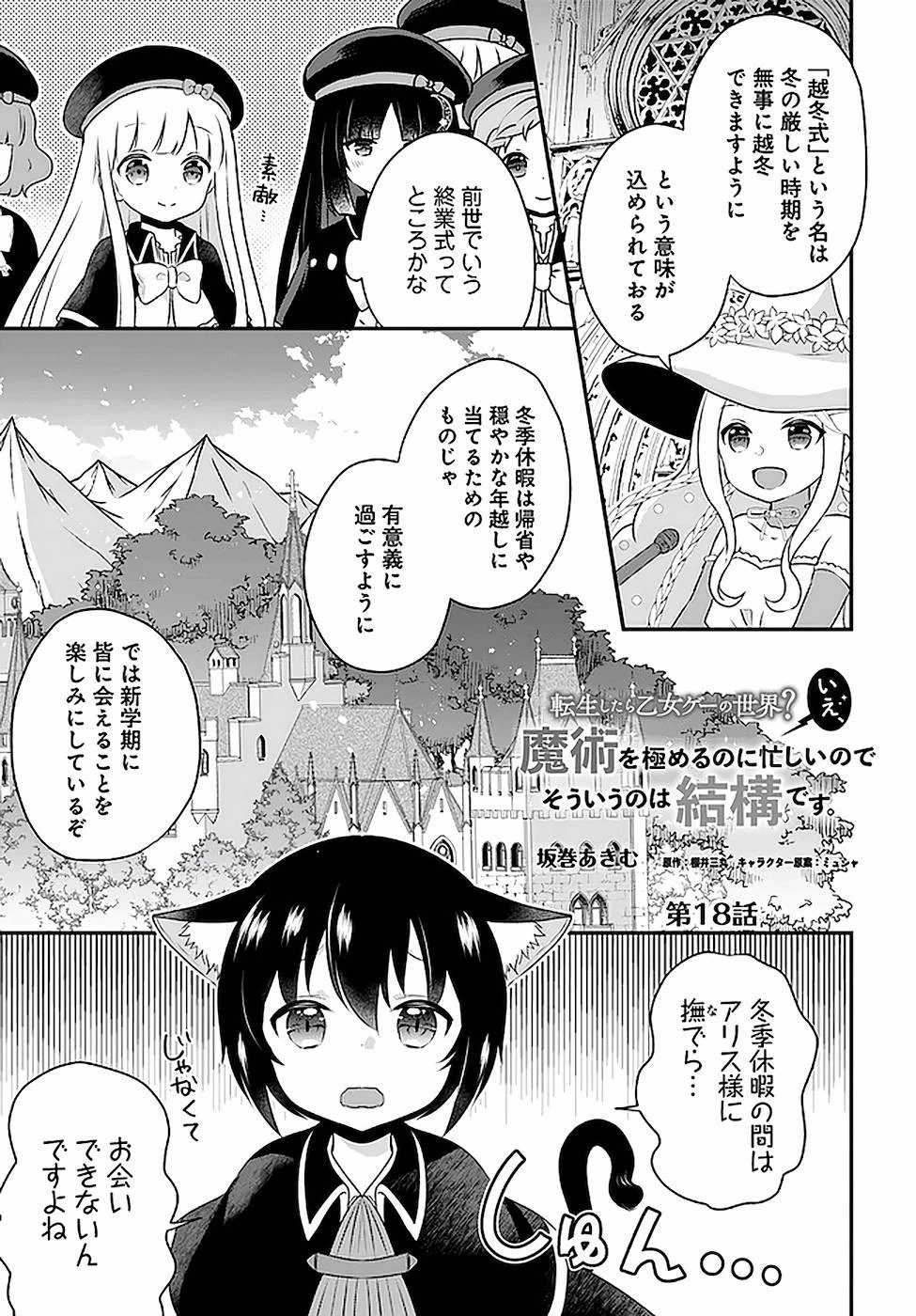 転生したら乙女ゲーの世界？ いえ、魔術を極めるのに忙しいのでそういうのは結構です。 第18話 - 1