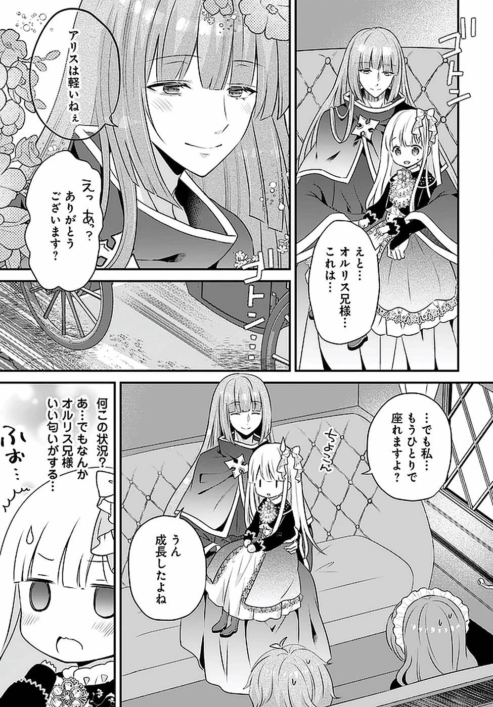 転生したら乙女ゲーの世界？ いえ、魔術を極めるのに忙しいのでそういうのは結構です。 第18話 - 11