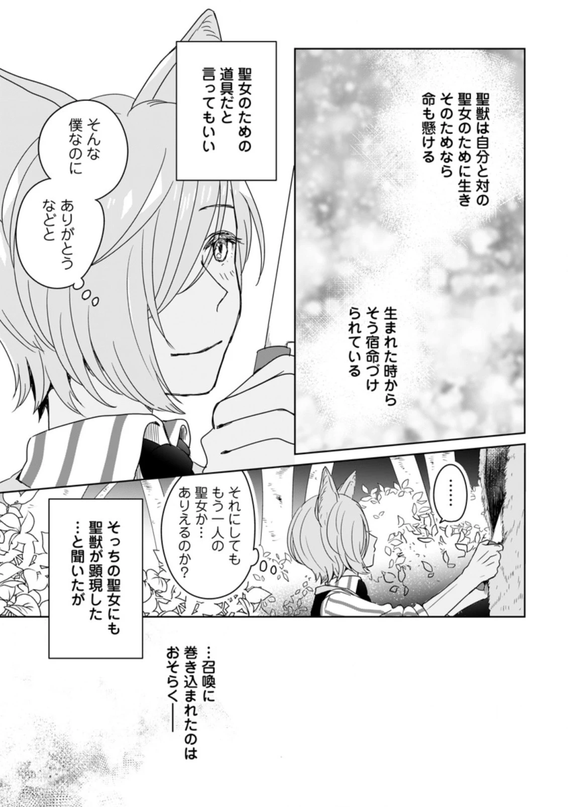 聖女じゃないと追放されたので、もふもふ従者 第3.1話 - 11