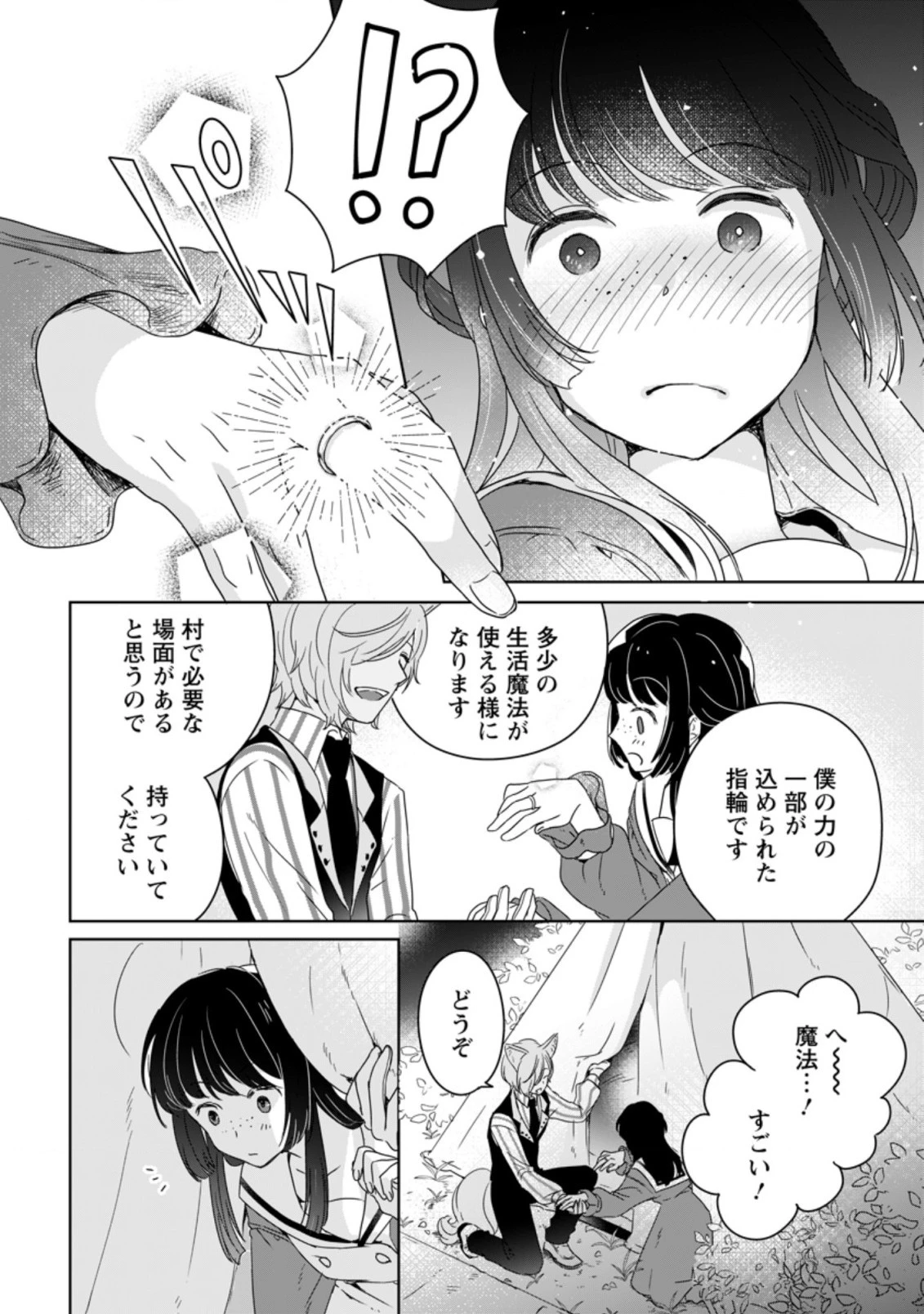 聖女じゃないと追放されたので、もふもふ従者 第4.3話 - 7