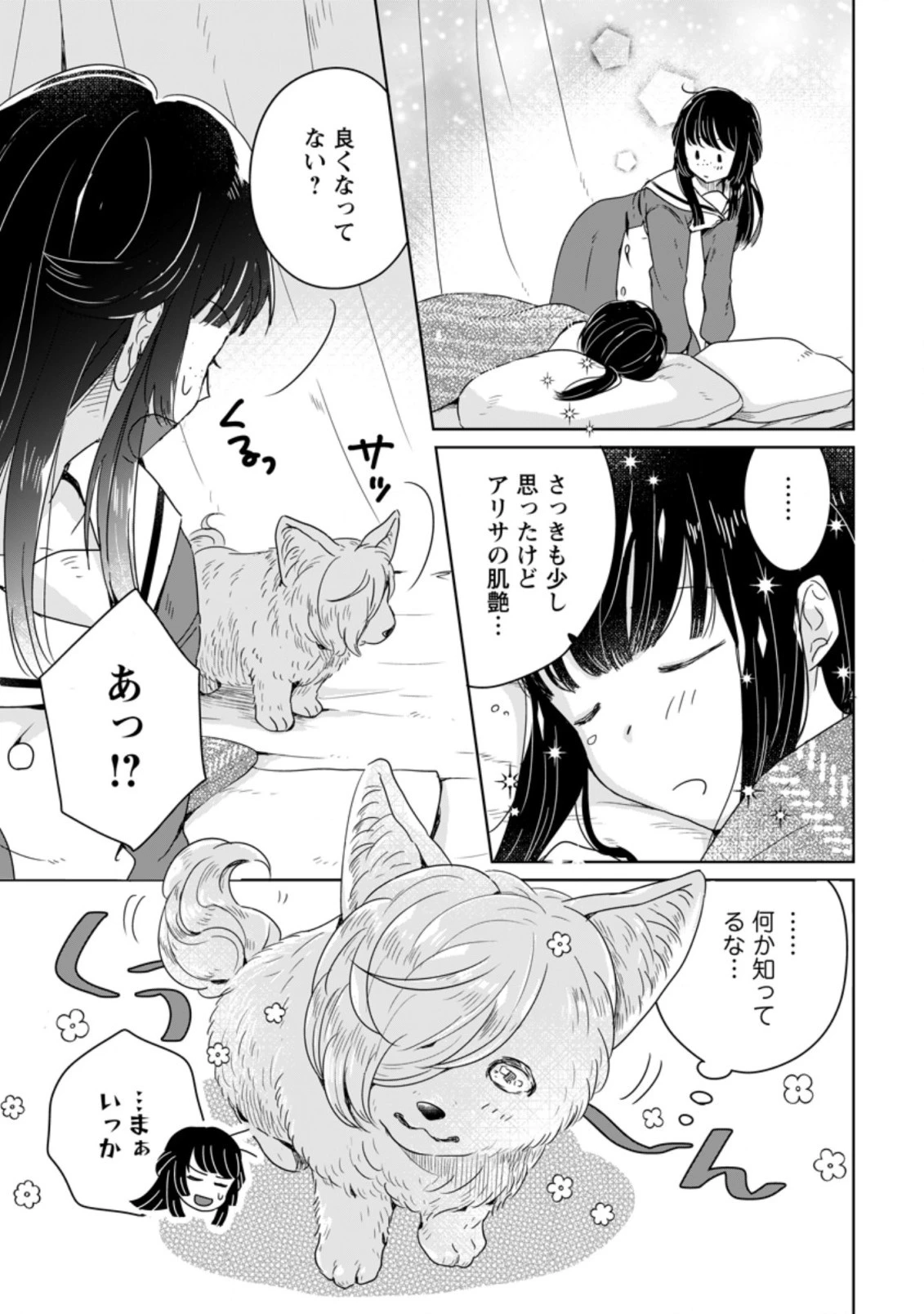 聖女じゃないと追放されたので、もふもふ従者 第4.3話 - 8