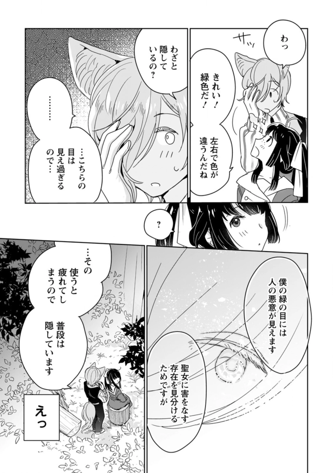 聖女じゃないと追放されたので、もふもふ従者 第5.1話 - 9