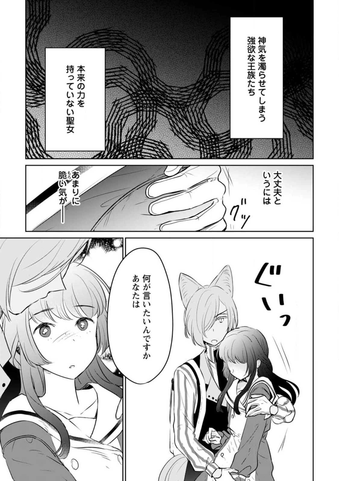 聖女じゃないと追放されたので、もふもふ従者 第21.1話 - 11