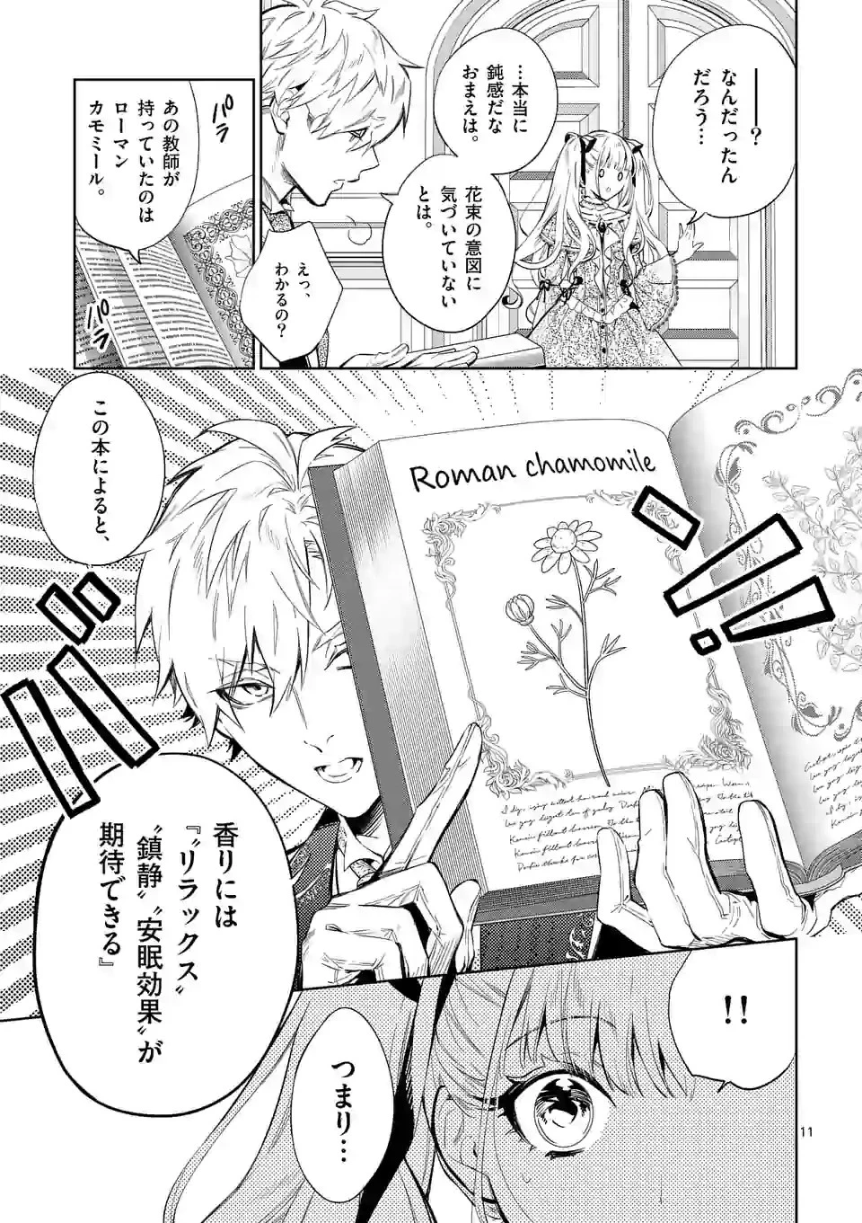 悪役令嬢は夜告鳥をめざす 第12.1話 - 11