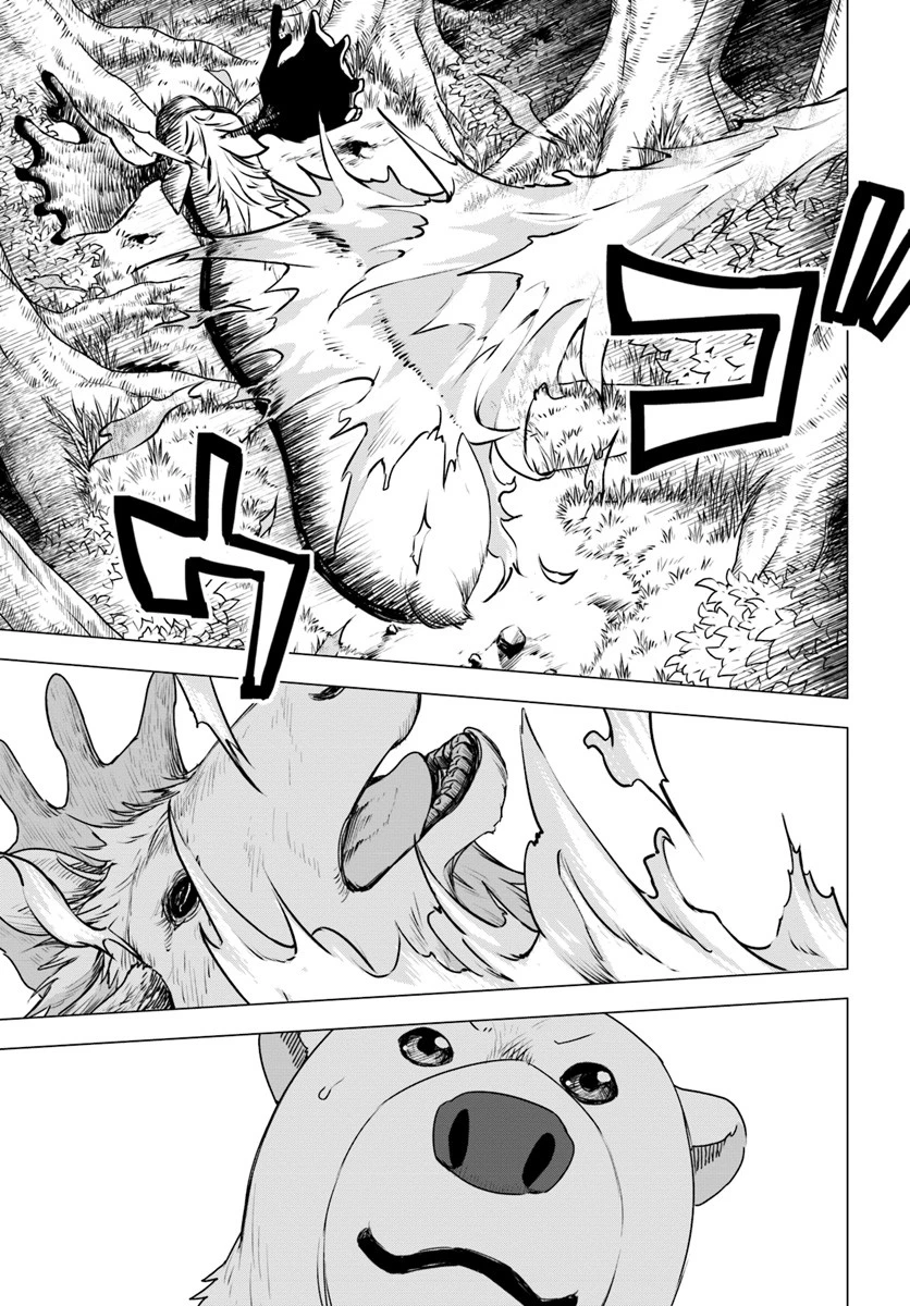 シロクマ転生 森の守護神になったぞ伝説 第16話 - 25
