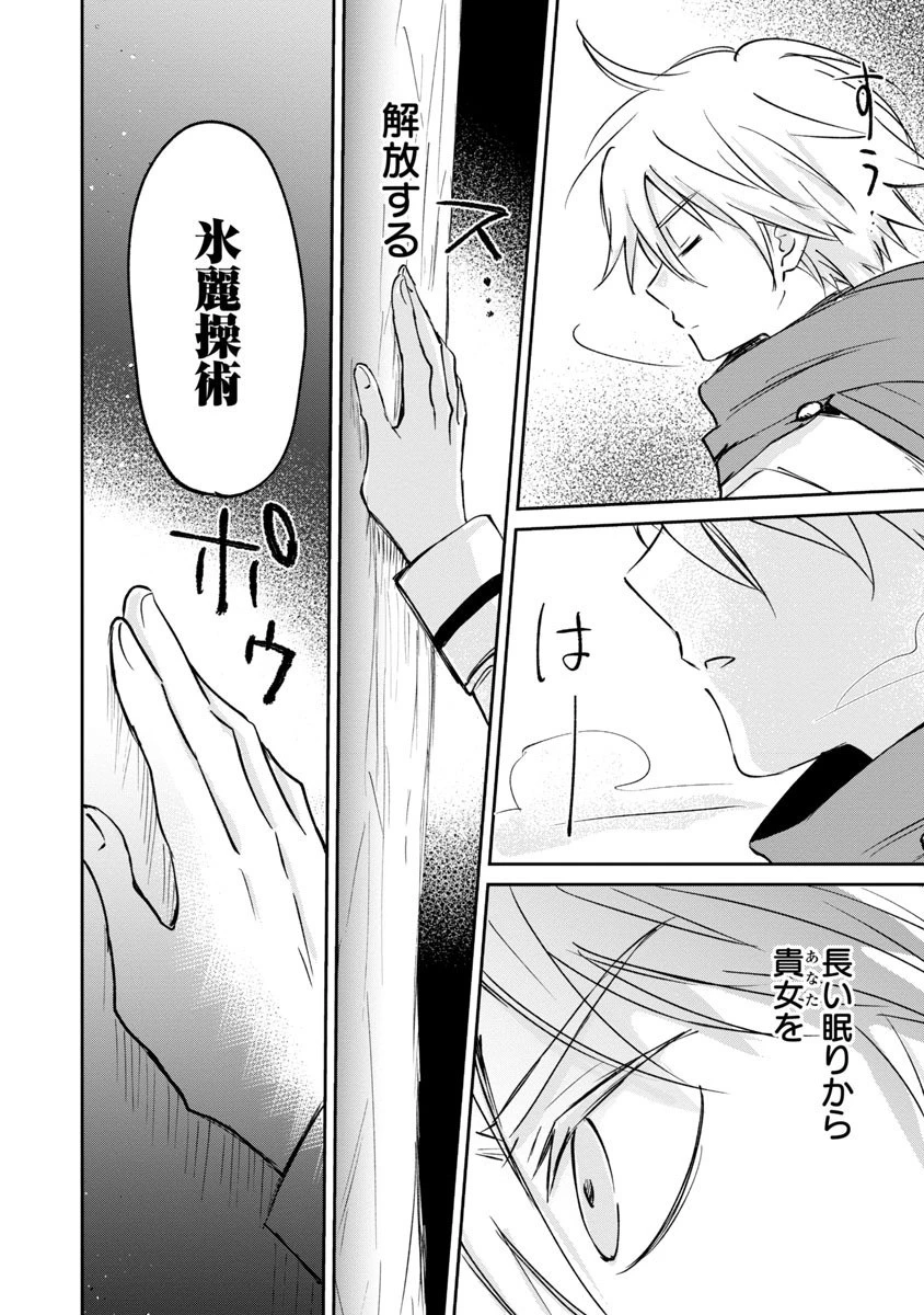 氷結系こそ最強です！～小さくて可愛い師匠と結婚するために最強の魔術師を目指します～ 第2話 - 24