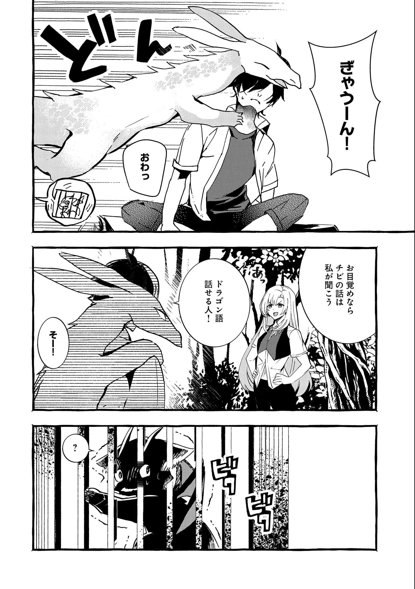 【急募】捨てられてたドラゴン拾った【飼い方】 第17話 - 26