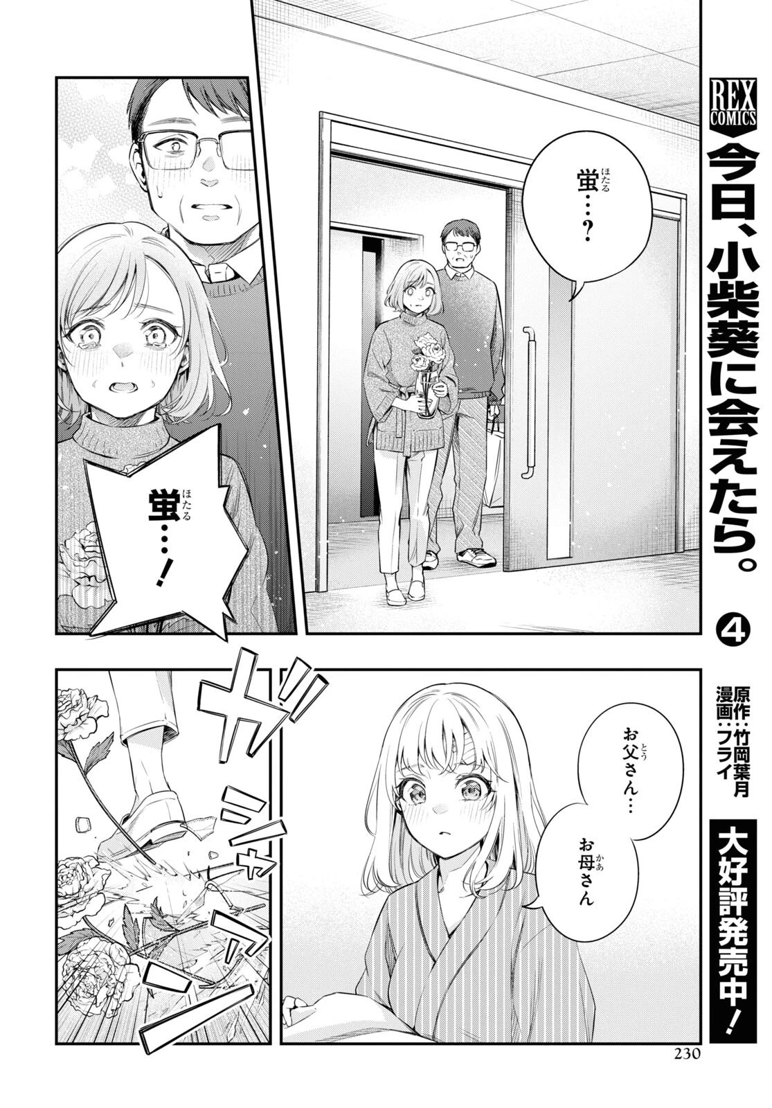 いつか、眠りにつく日 第14.2話 - 16