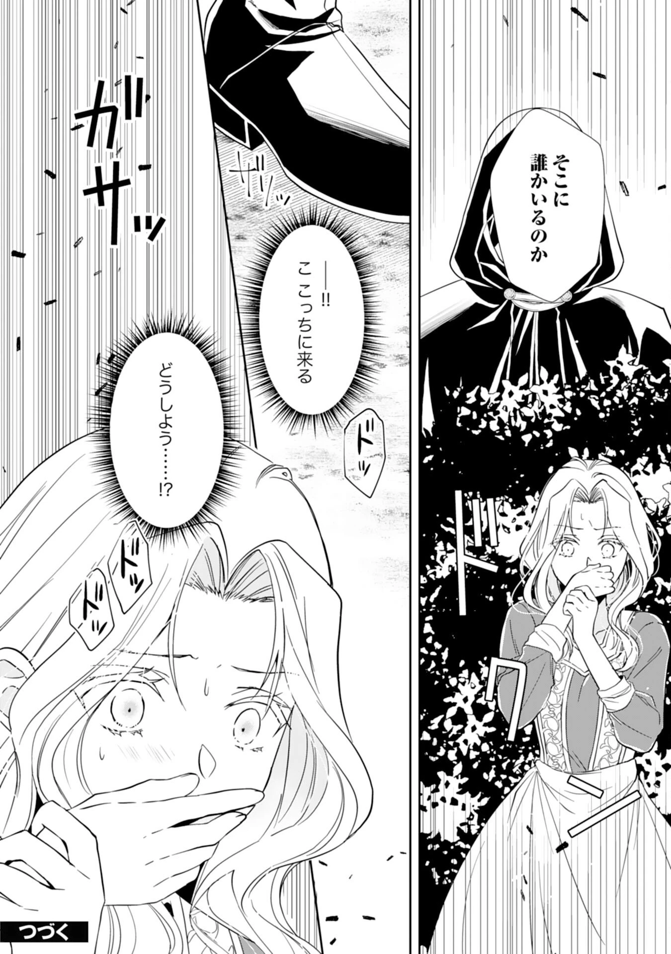 捨てられ令嬢は、獣な次期国王に溺愛される 第2話 - 30