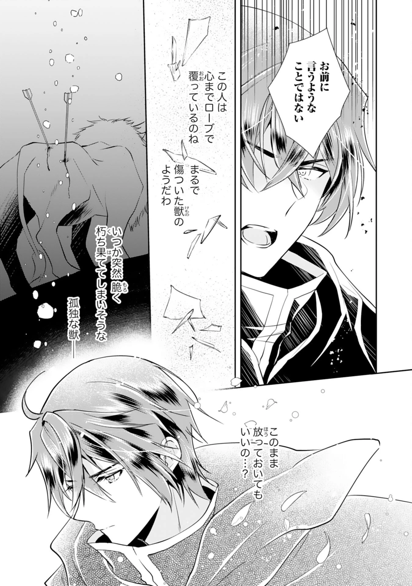 捨てられ令嬢は、獣な次期国王に溺愛される 第3話 - 13