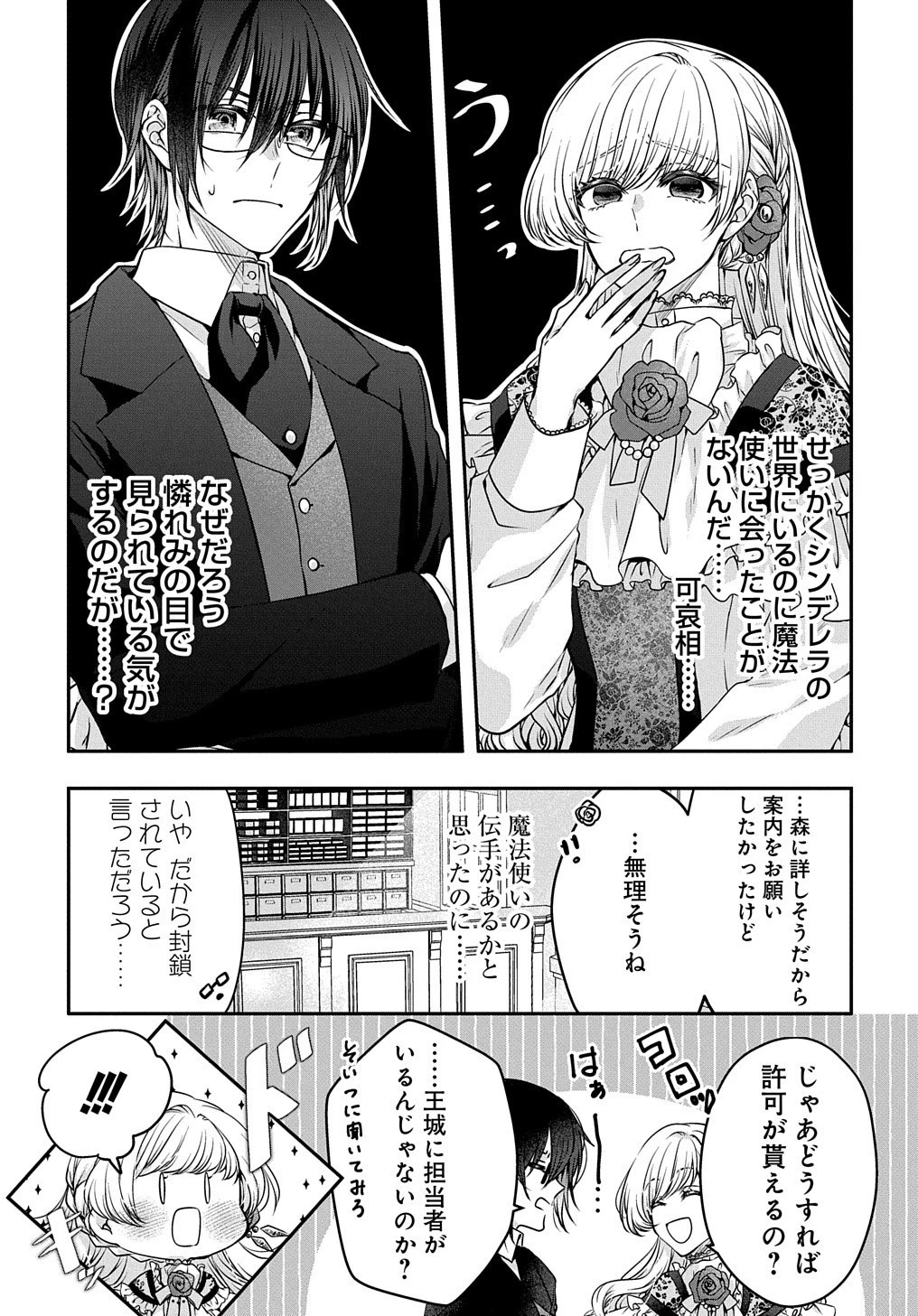 悪役令嬢に転生したと思ったら、シンデレラの義姉でした ～シンデレラオタクの異世界転生～ 第3話 - 6