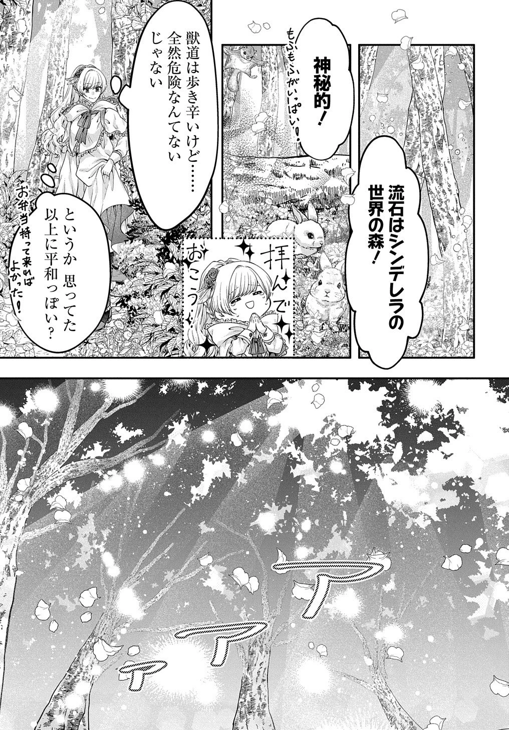 悪役令嬢に転生したと思ったら、シンデレラの義姉でした ～シンデレラオタクの異世界転生～ 第3話 - 24