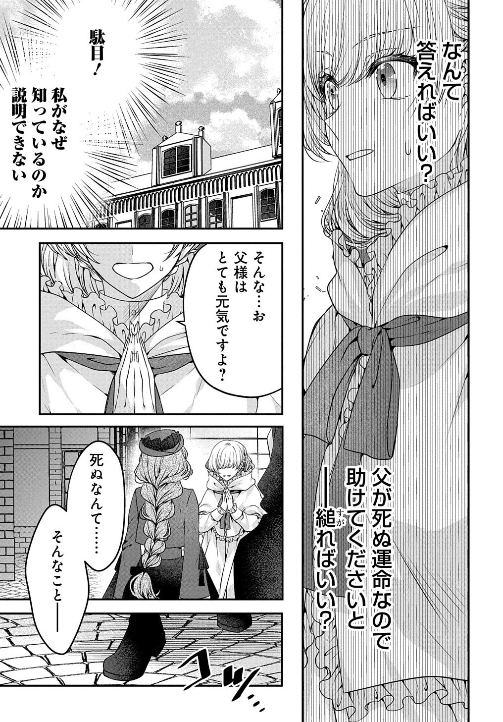 悪役令嬢に転生したと思ったら、シンデレラの義姉でした ～シンデレラオタクの異世界転生～ 第5話 - 4