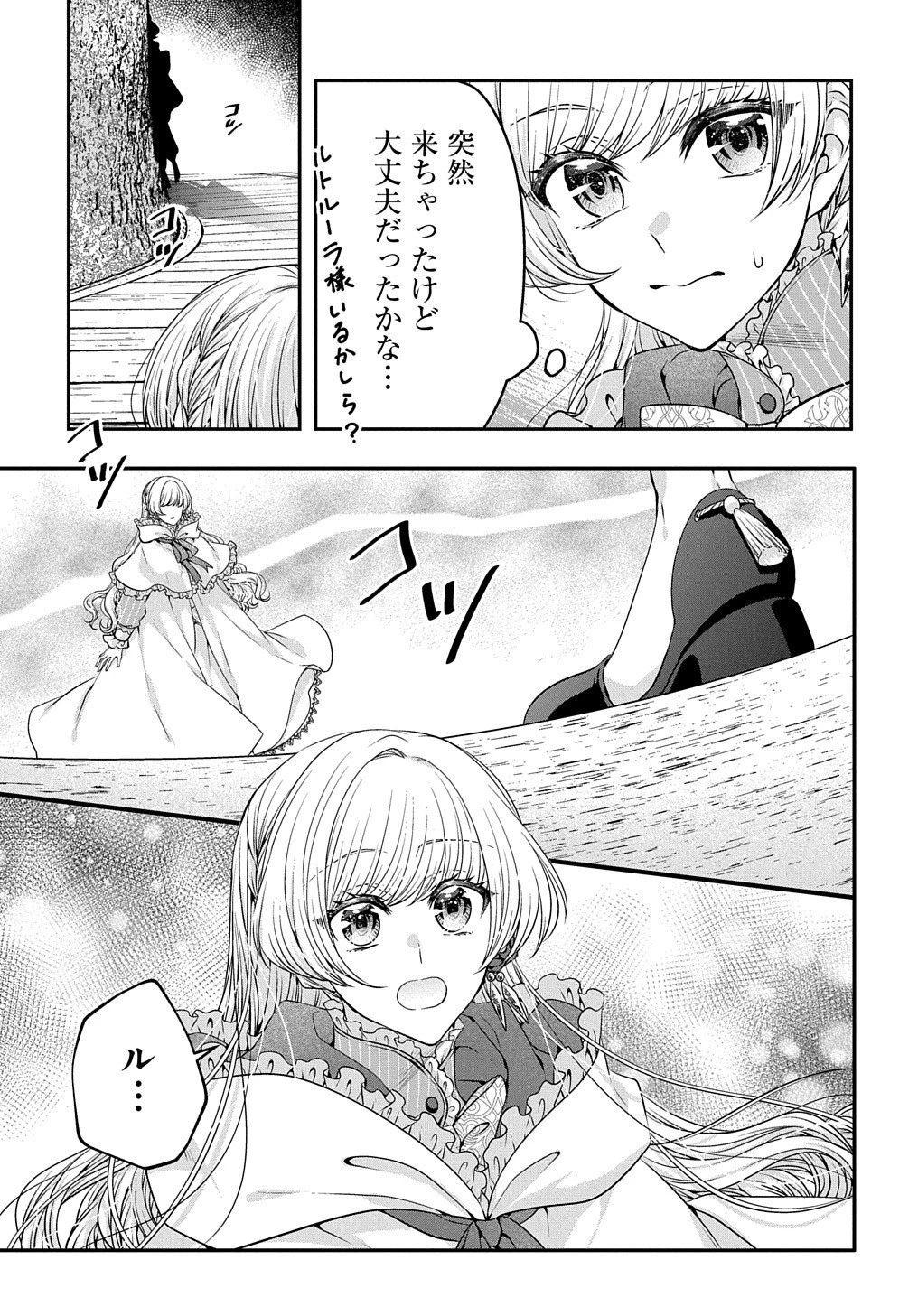 悪役令嬢に転生したと思ったら、シンデレラの義姉でした ～シンデレラオタクの異世界転生～ 第5話 - 14