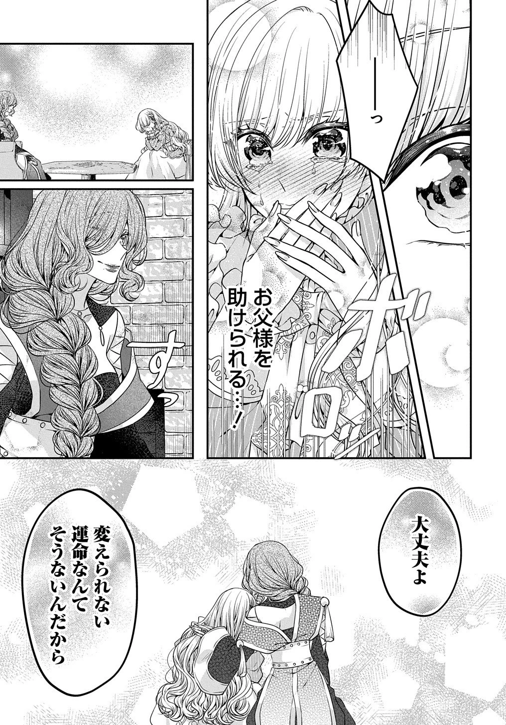 悪役令嬢に転生したと思ったら、シンデレラの義姉でした ～シンデレラオタクの異世界転生～ 第5話 - 22