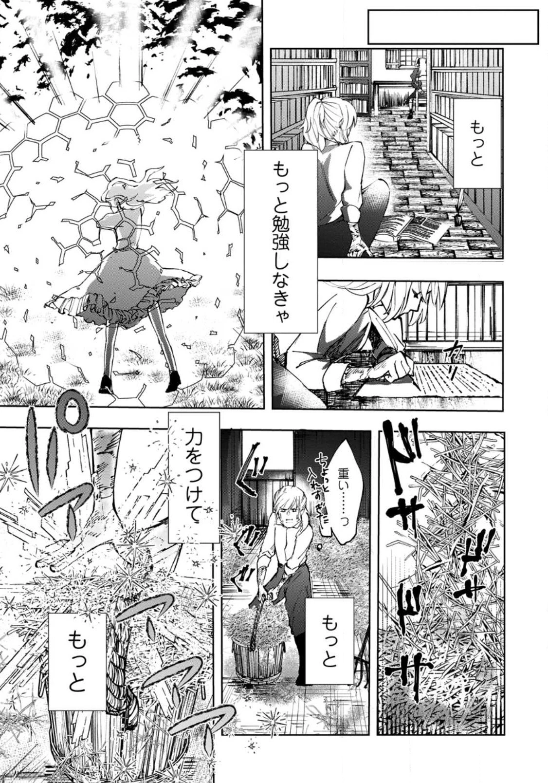 どクズな家族と別れる方法 天才の姉は実はダメ女。無能と言われた妹は救国の魔導士だった 第1話 - 27