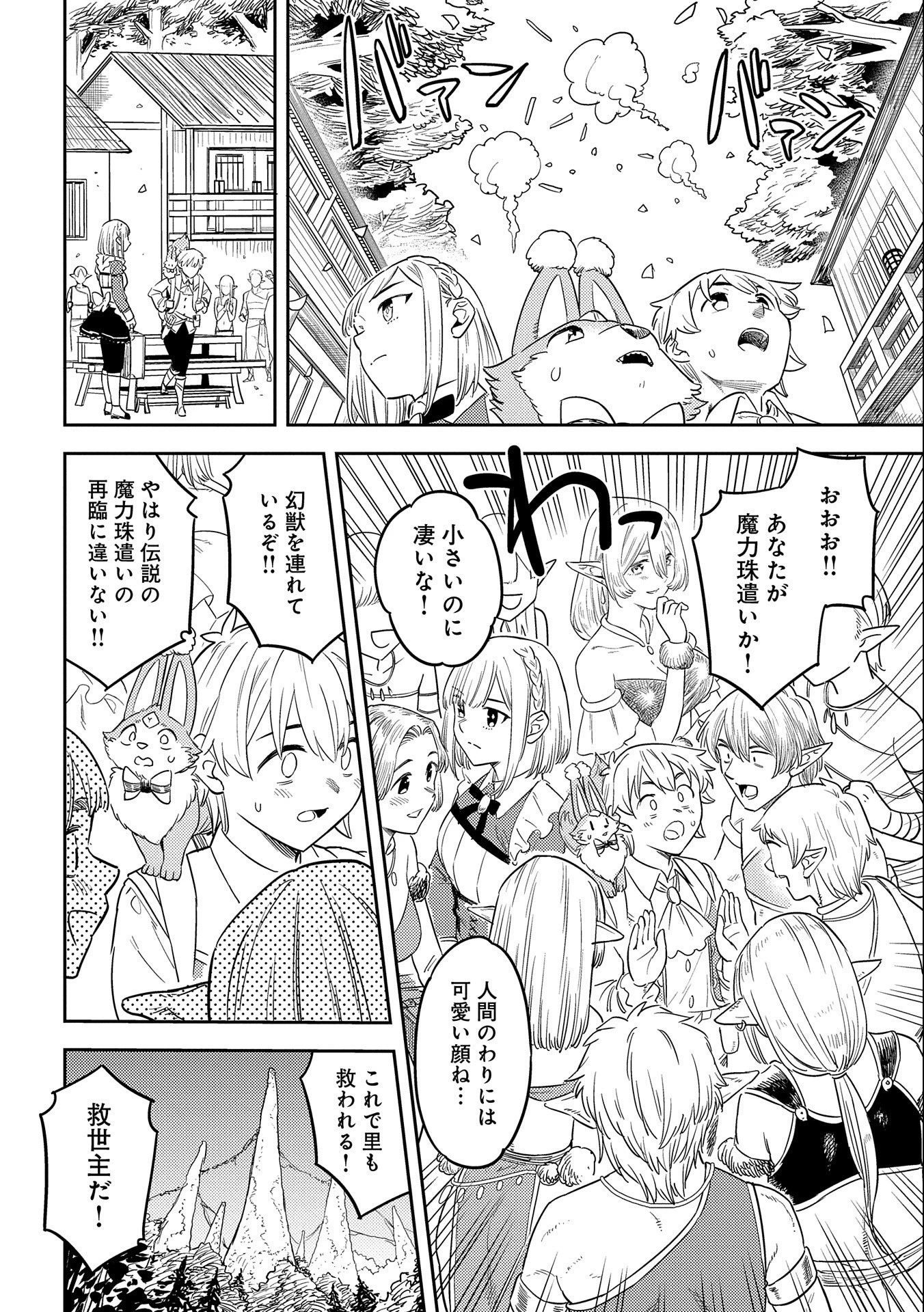 魔石屋アレキサンドライトへようこそ ～規格外魔石で商売繁盛～ 第8話 - 20