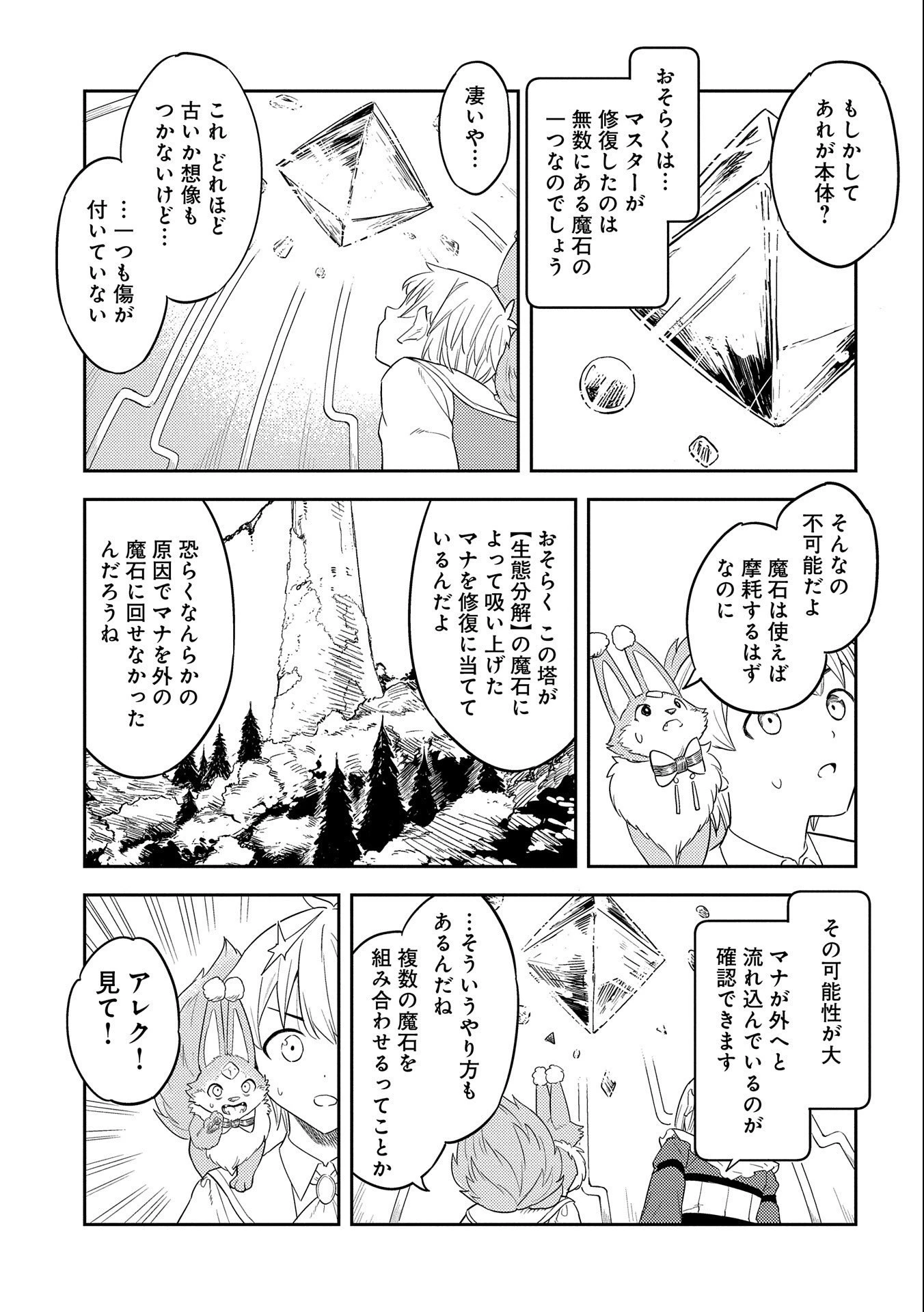 魔石屋アレキサンドライトへようこそ ～規格外魔石で商売繁盛～ 第9話 - 33