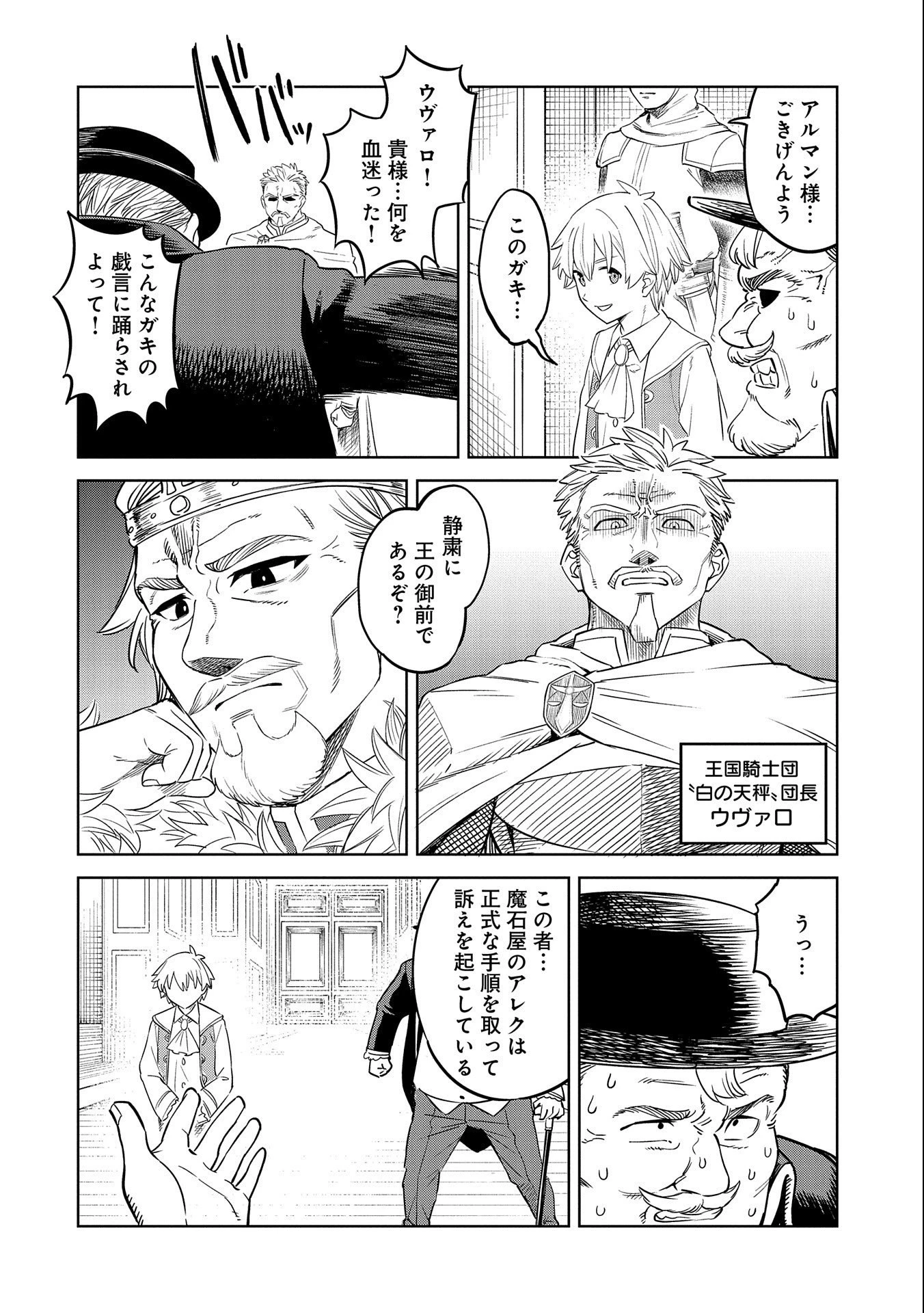 魔石屋アレキサンドライトへようこそ ～規格外魔石で商売繁盛～ 第14話 - 30