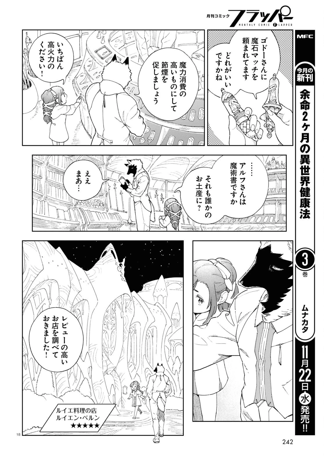 イズミと竜の図鑑 第5話 - 18