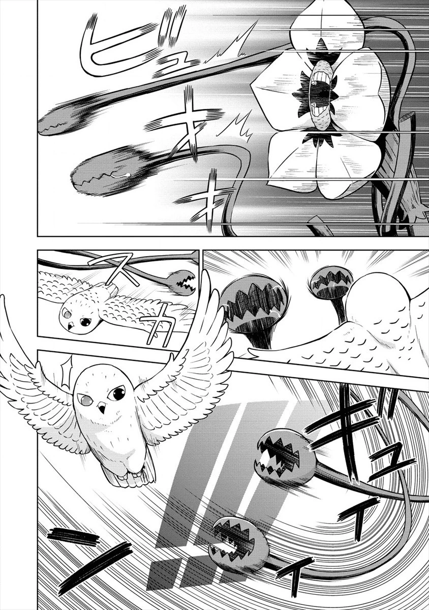 VRMMOでサモナー始めました 第17話 - 14