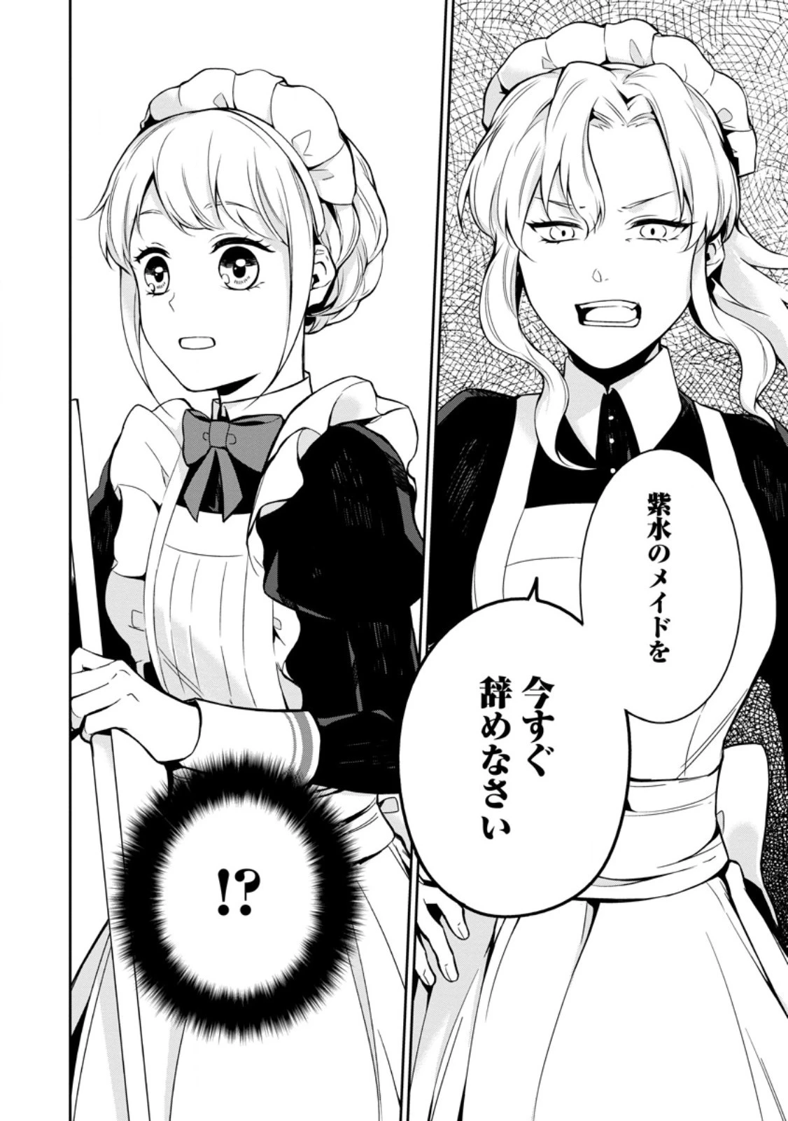婚約破棄されたのでお掃除メイドになったら笑わない貴公子様に溺愛されました 第4.3話 - 10