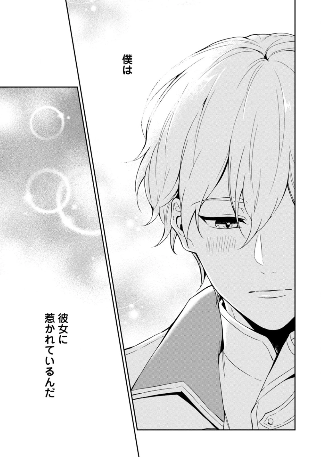 婚約破棄されたのでお掃除メイドになったら笑わない貴公子様に溺愛されました 第5.2話 - 5