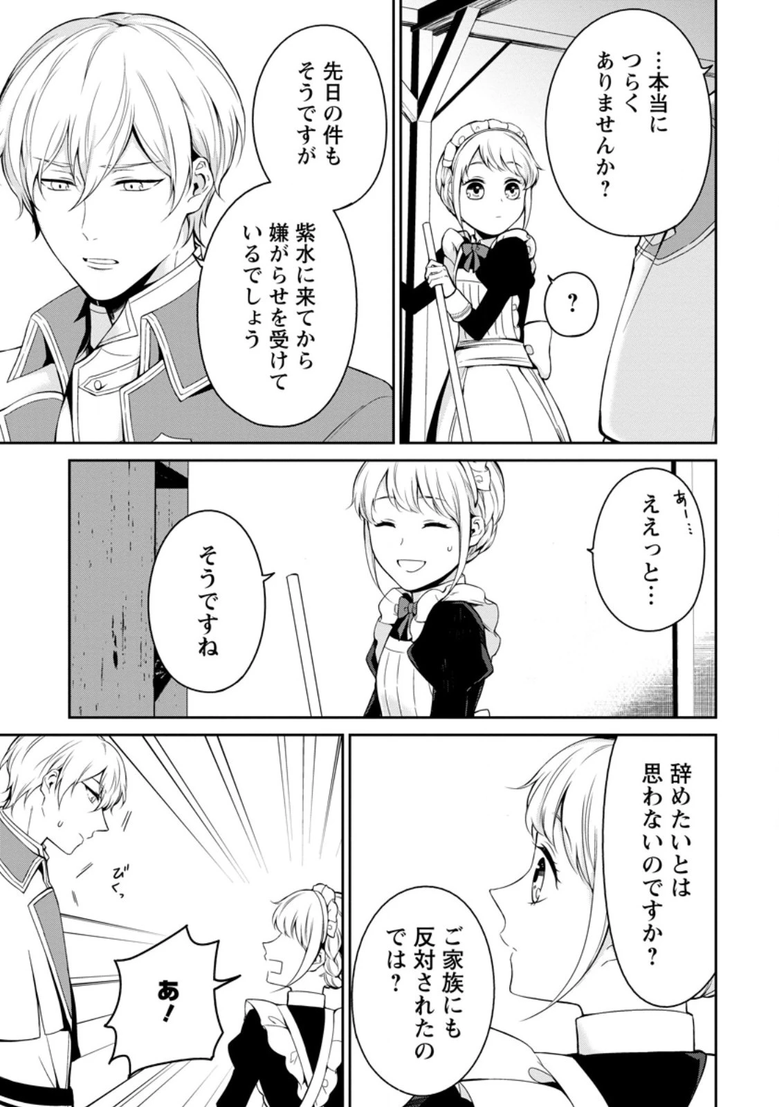 婚約破棄されたのでお掃除メイドになったら笑わない貴公子様に溺愛されました 第6.3話 - 6