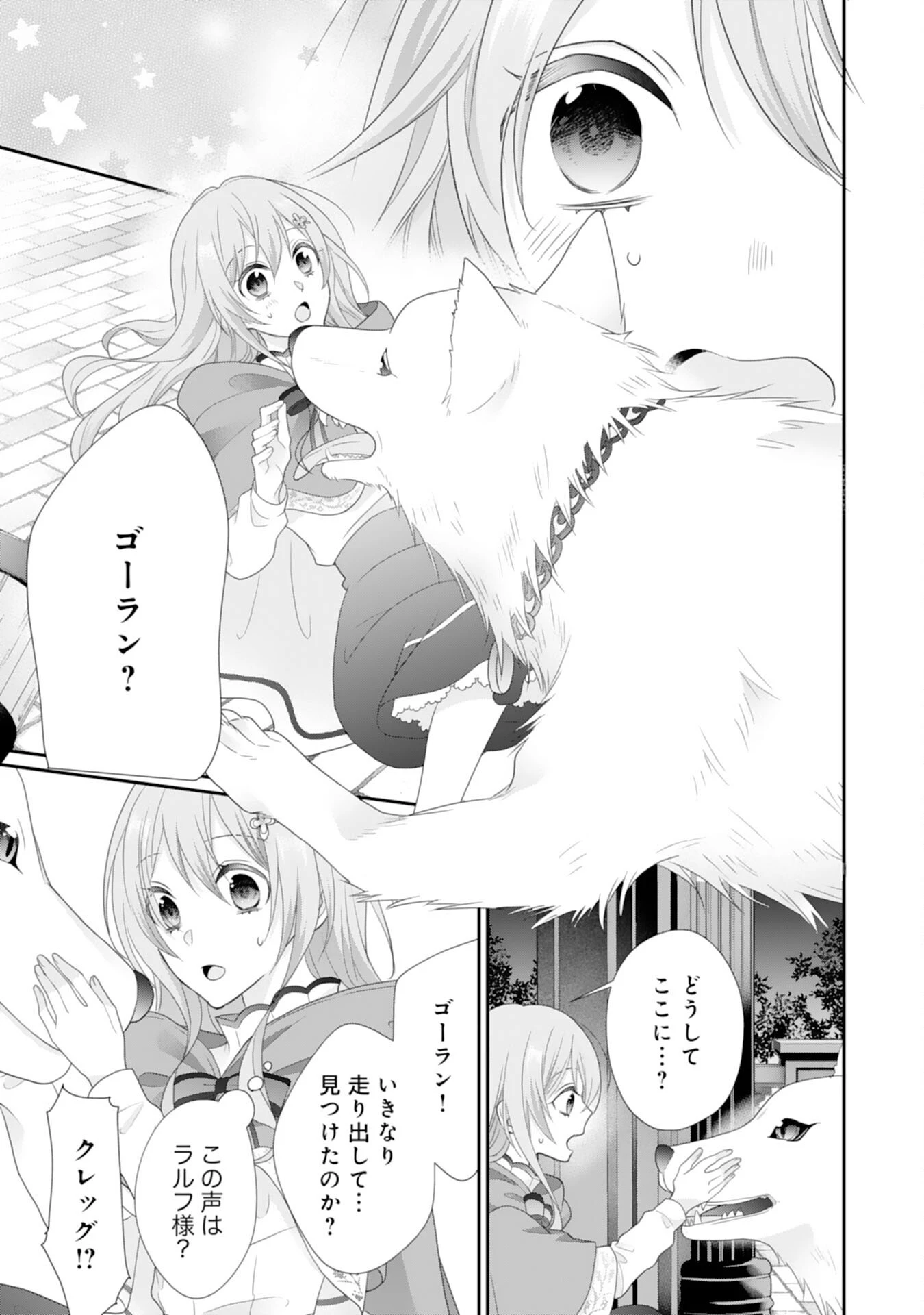 竜王陛下のもふもふお世話係～転生した平凡女子に溺愛フラグが立ちました～ 第10話 - 21