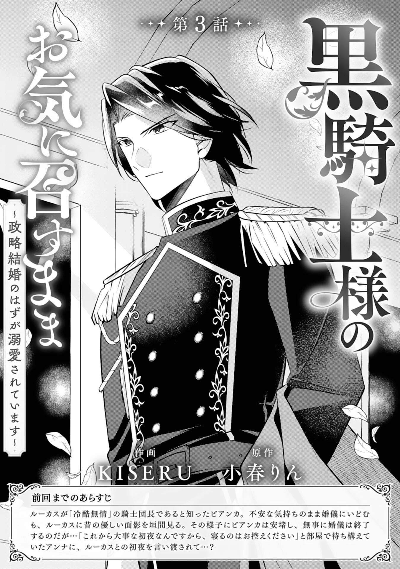 黒騎士様のお気に召すまま～政略結婚のはずが溺愛されています～ 第3話 - 1