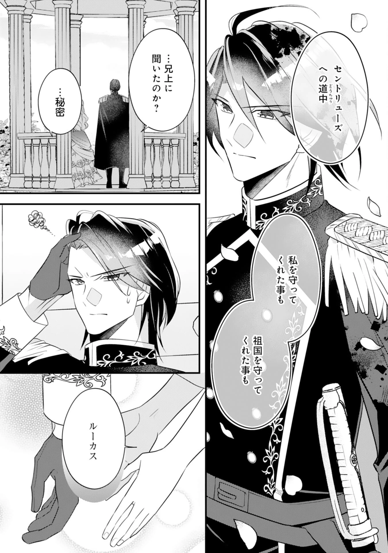 黒騎士様のお気に召すまま～政略結婚のはずが溺愛されています～ 第6話 - 19