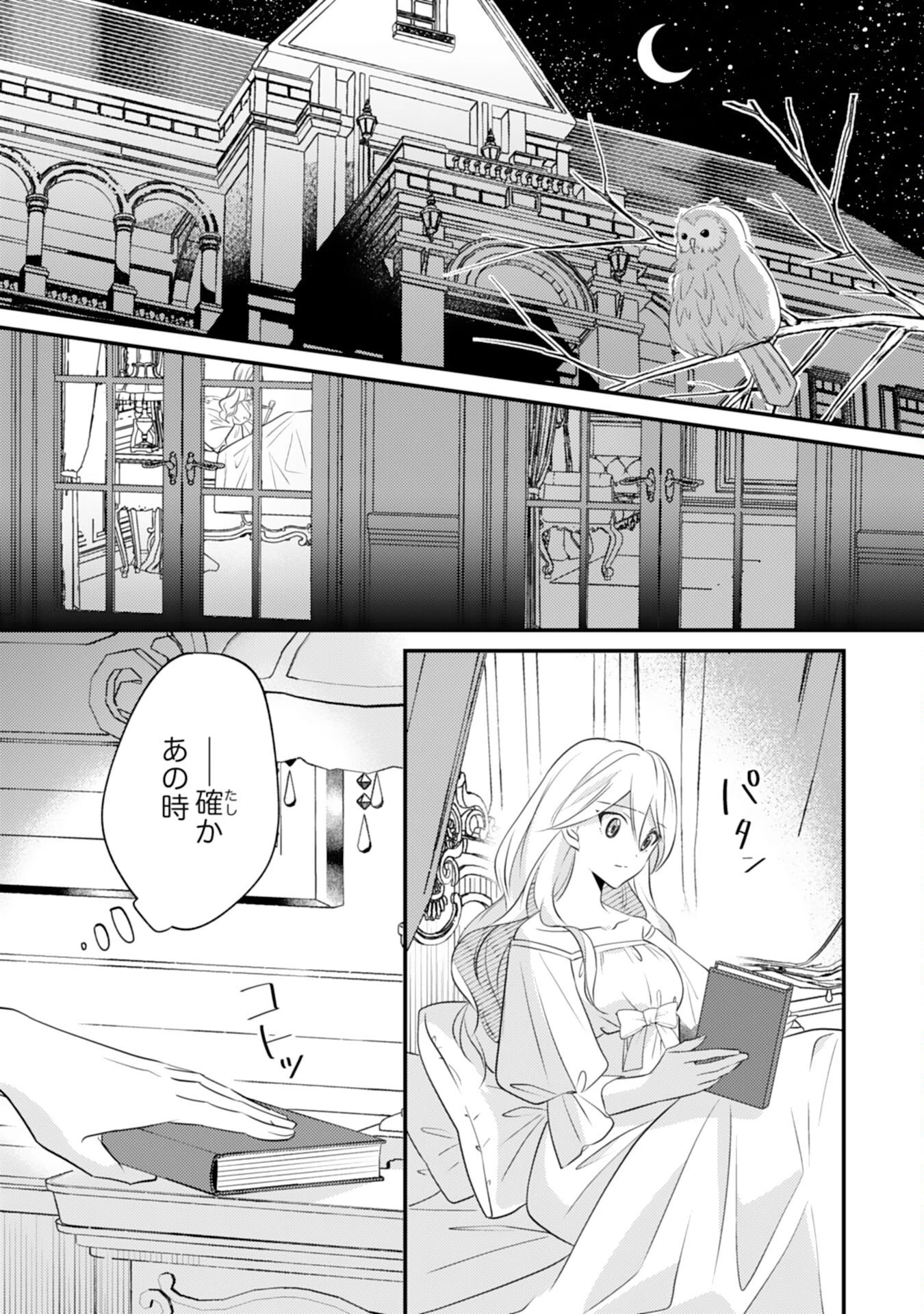 黒騎士様のお気に召すまま～政略結婚のはずが溺愛されています～ 第7話 - 2