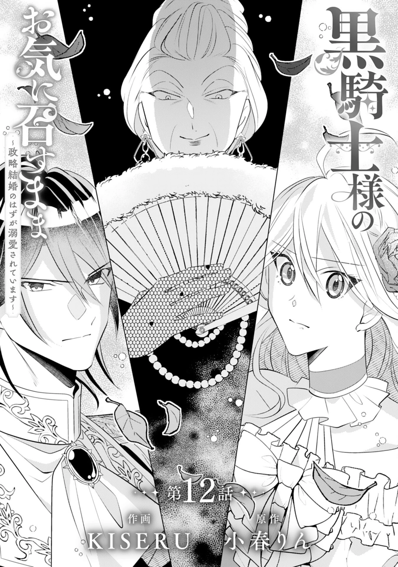 黒騎士様のお気に召すまま～政略結婚のはずが溺愛されています～ 第12話 - 1