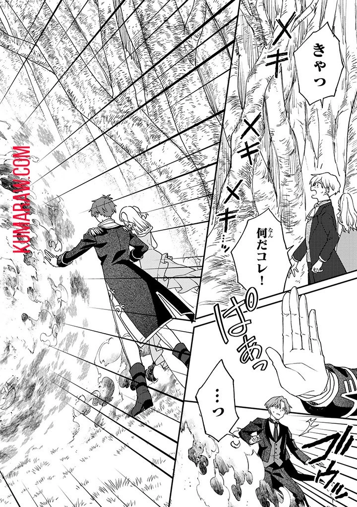 落ちこぼれ令嬢は、公爵閣下からの溺愛に気付かない〜婚約者に指名されたのは才色兼備の姉ではなく、私でした〜 第5話 - 10