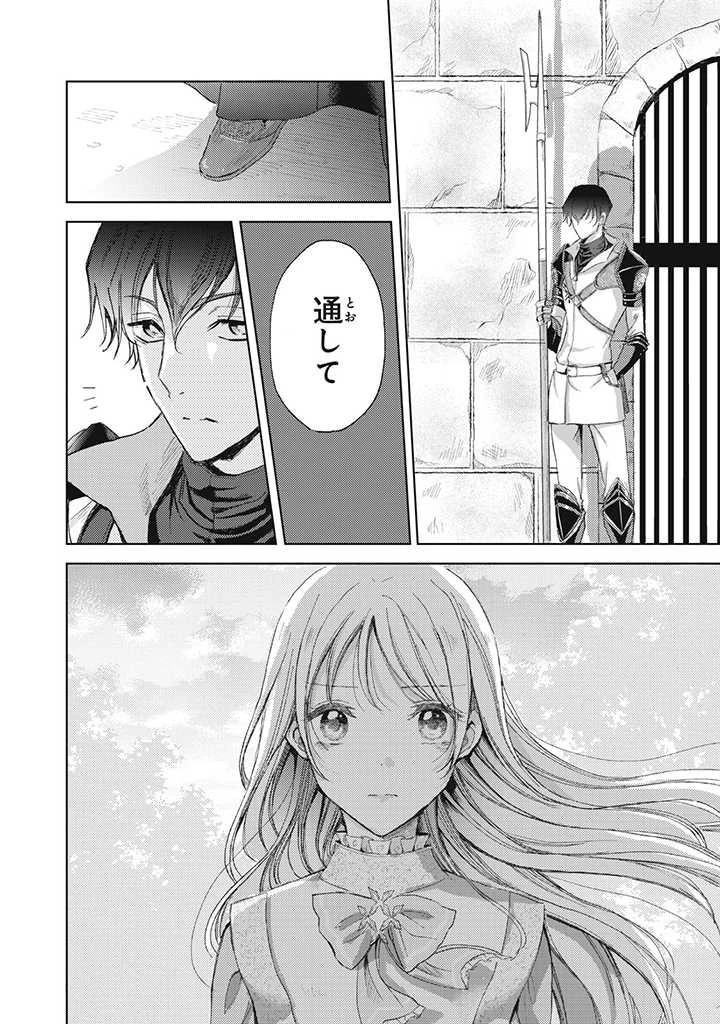 王妃様は離婚したい～異世界から聖女様が来たので、もうお役御免ですわね？～ 第10話 - 8