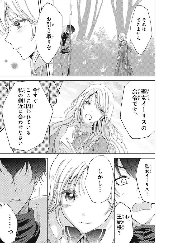 王妃様は離婚したい～異世界から聖女様が来たので、もうお役御免ですわね？～ 第10話 - 9