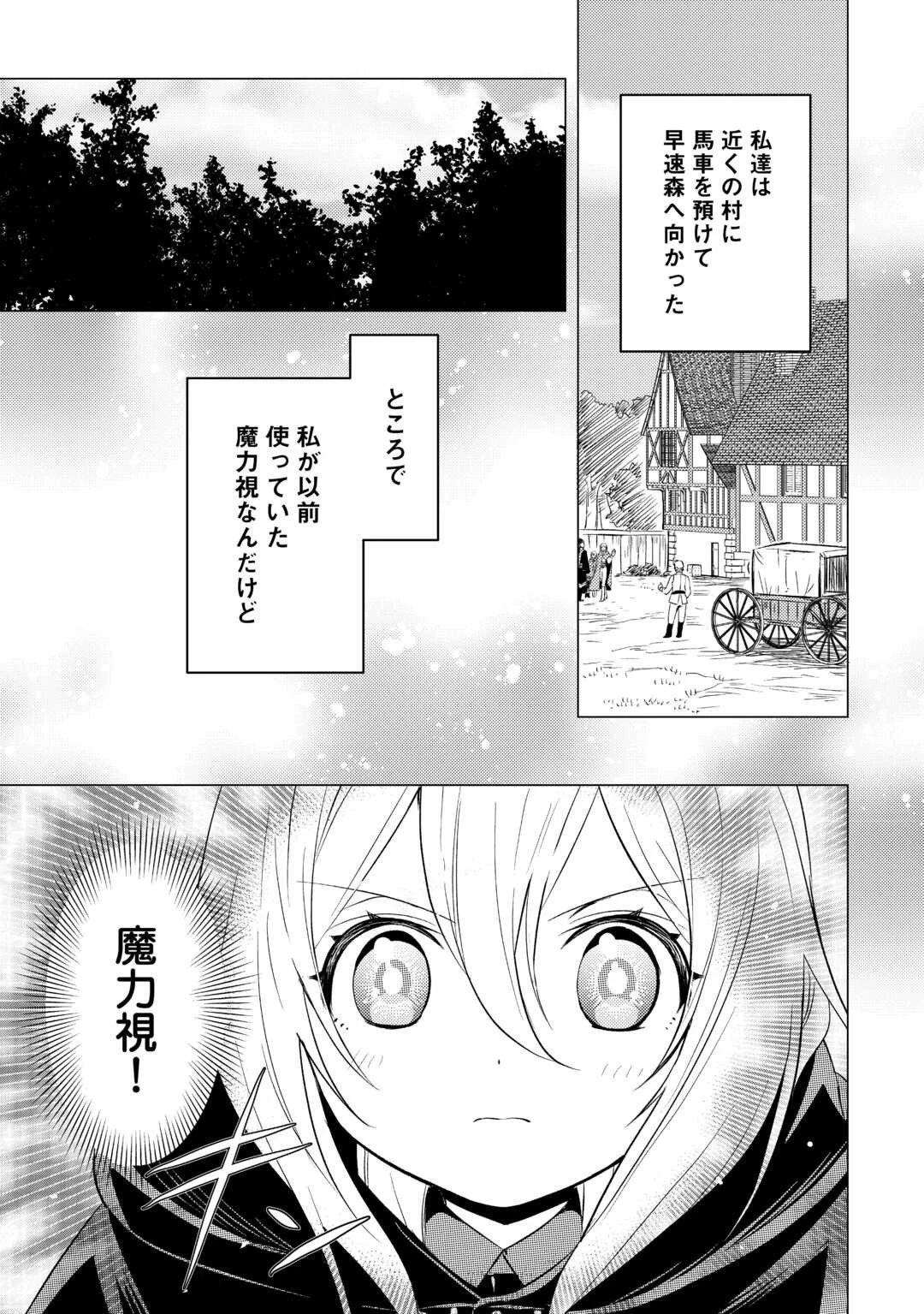 転生先は盲目幼女でした　～前世の記憶と魔法を頼りに生き延びます～ 第17話 - 3