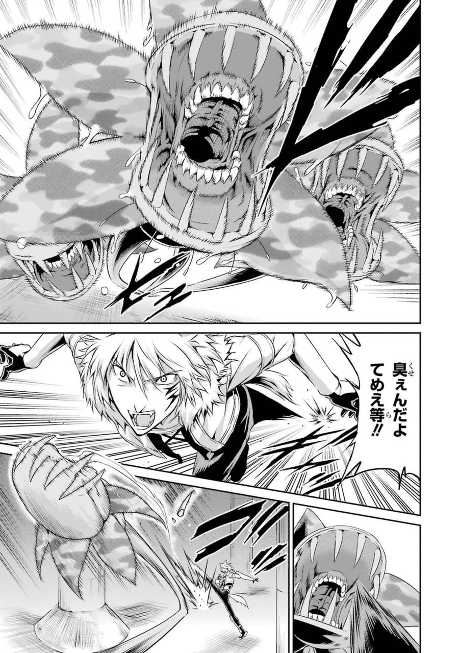 ダンジョンに出会いを求めるのは間違っているだろうか外伝ソード・オラトリア 第10話 - 27