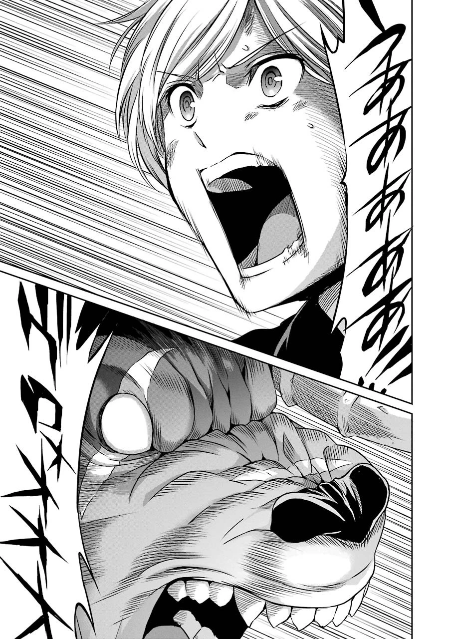 ダンジョンに出会いを求めるのは間違っているだろうか外伝ソード・オラトリア 第35話 - 4