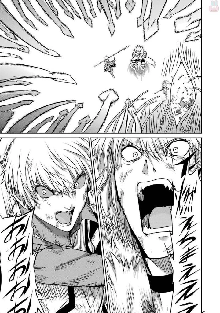 ダンジョンに出会いを求めるのは間違っているだろうか外伝ソード・オラトリア 第40話 - 29