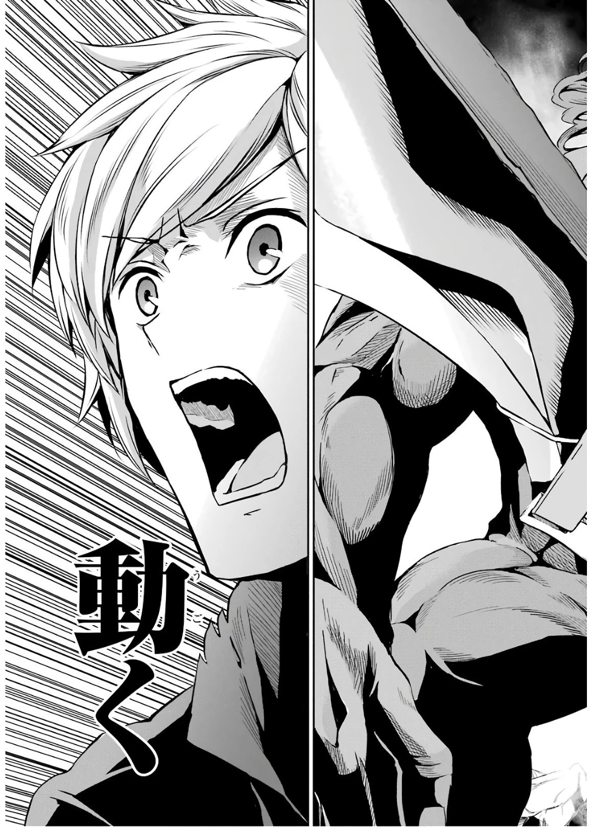 ダンジョンに出会いを求めるのは間違っているだろうか外伝ソード・オラトリア 第48話 - 27