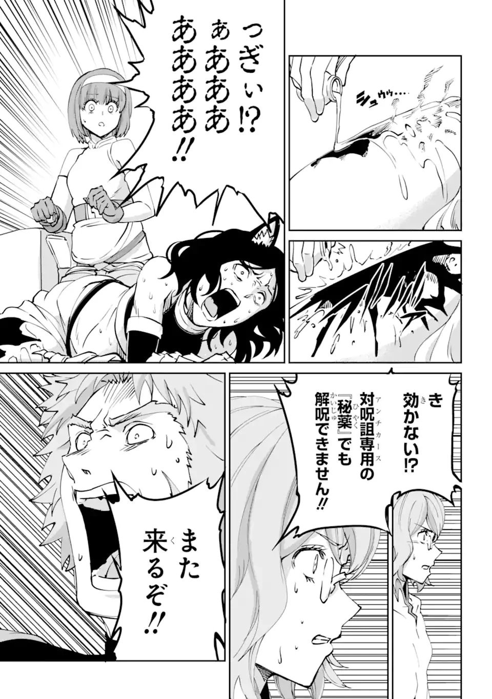 ダンジョンに出会いを求めるのは間違っているだろうか外伝ソード・オラトリア 第104話 - 18