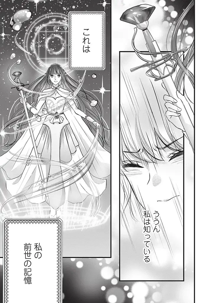 空っぽ聖女として捨てられたはずが、嫁ぎ先の皇帝陛下に溺愛されています 第1話 - 27