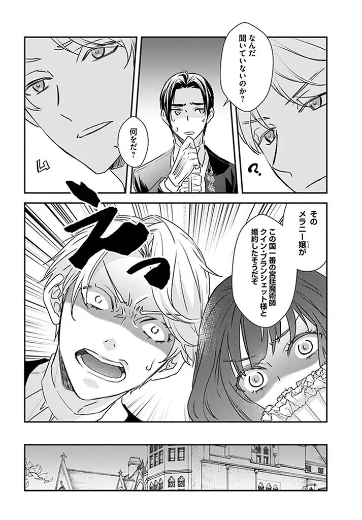 宮廷魔術師の婚約者 第1話 - 12