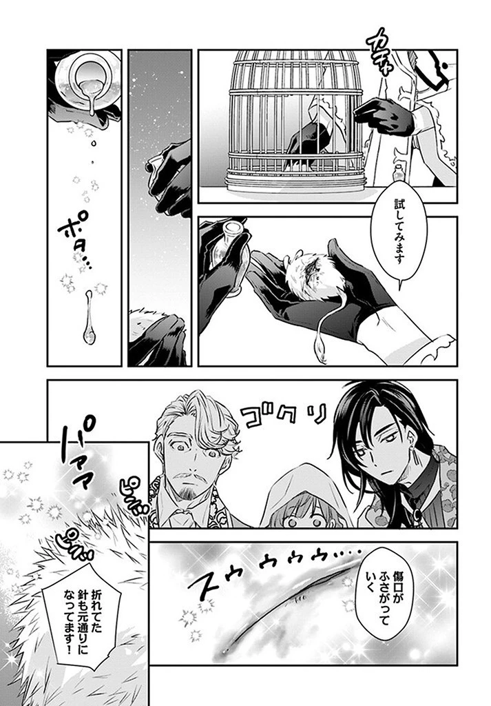 宮廷魔術師の婚約者 第5話 - 5