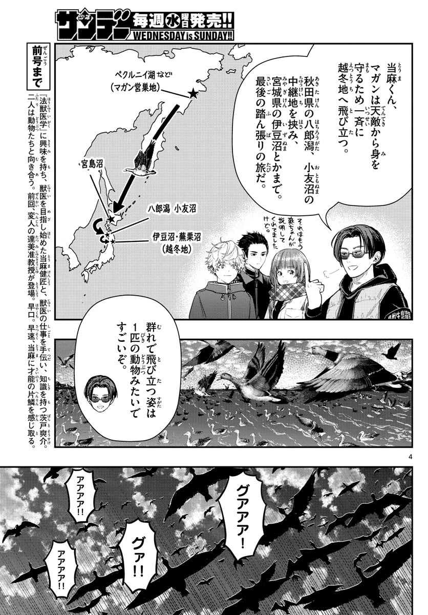 ラストカルテ-法獣医学者当麻健匠の記憶- 第10話 - 4