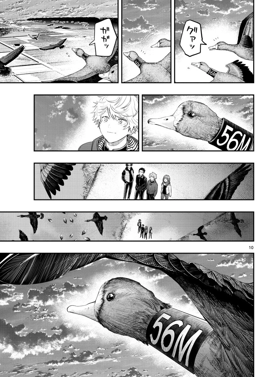 ラストカルテ-法獣医学者当麻健匠の記憶- 第10話 - 10