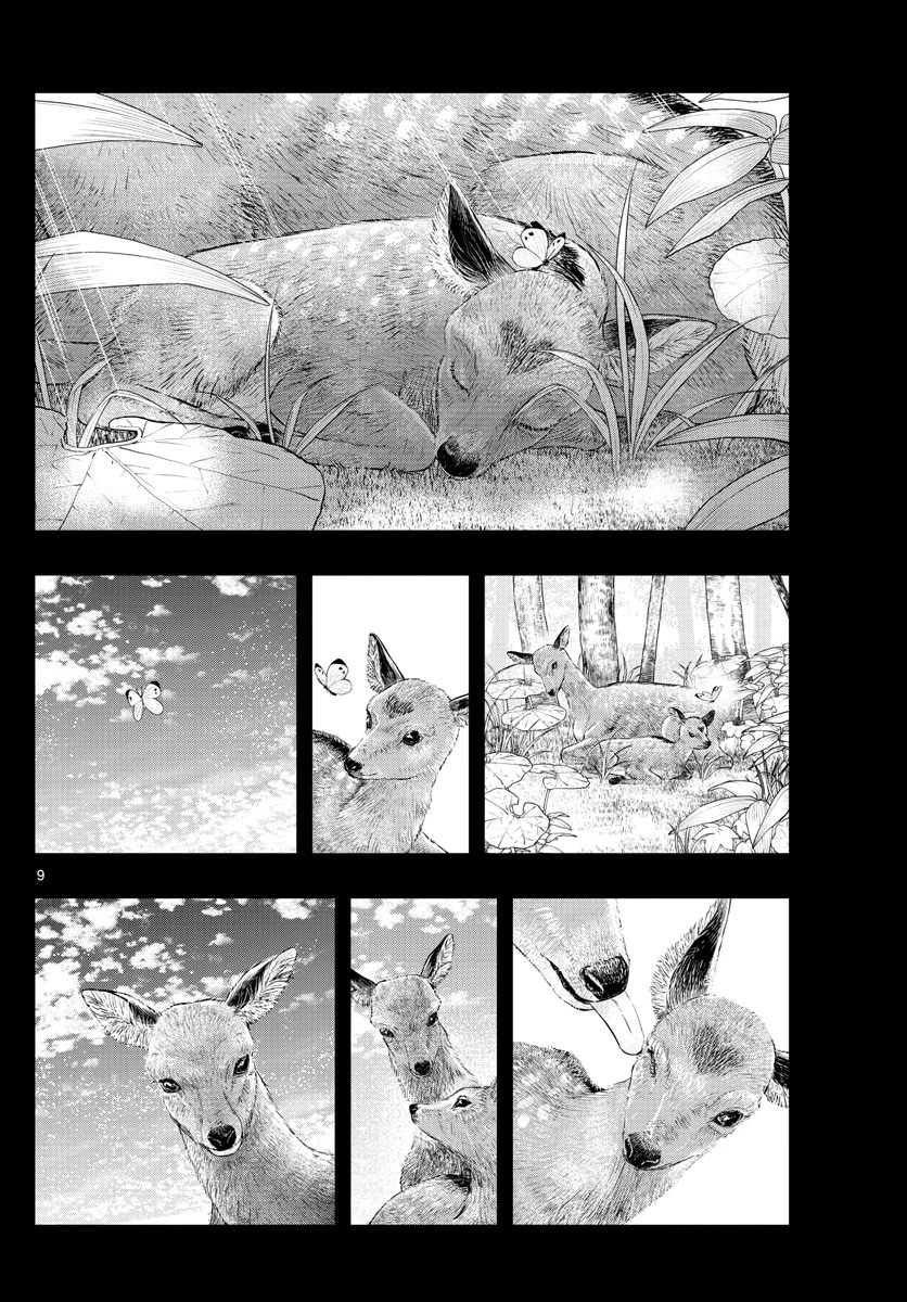 ラストカルテ-法獣医学者当麻健匠の記憶- 第19話 - 9