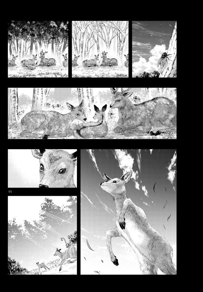 ラストカルテ-法獣医学者当麻健匠の記憶- 第19話 - 11