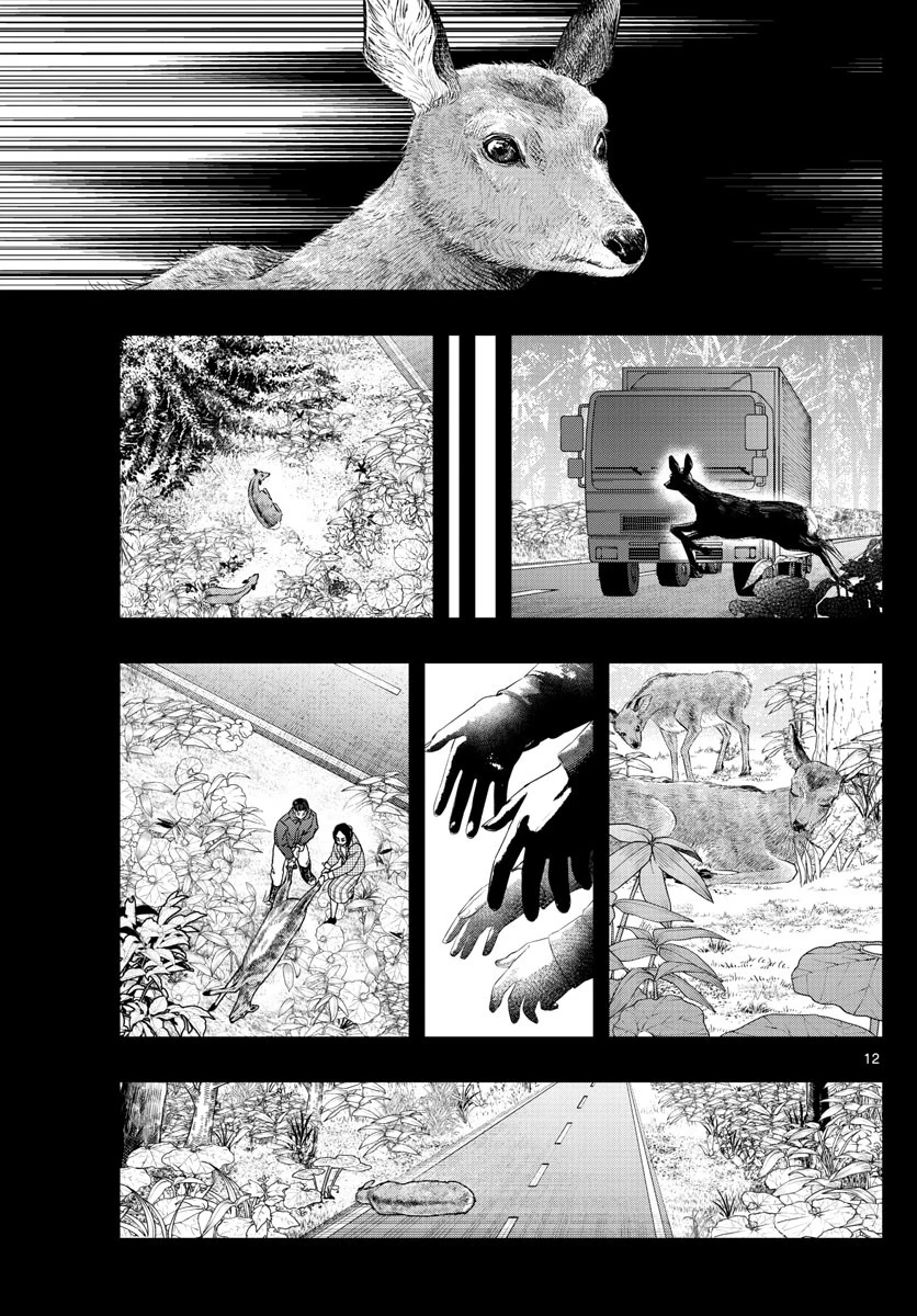 ラストカルテ-法獣医学者当麻健匠の記憶- 第19話 - 12